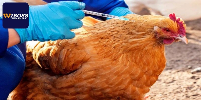 Lưu ý quan trọng khi sử dụng