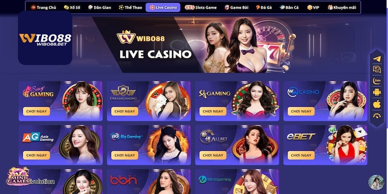 Trả lời 4 câu hỏi về nhà cái Wibo88
