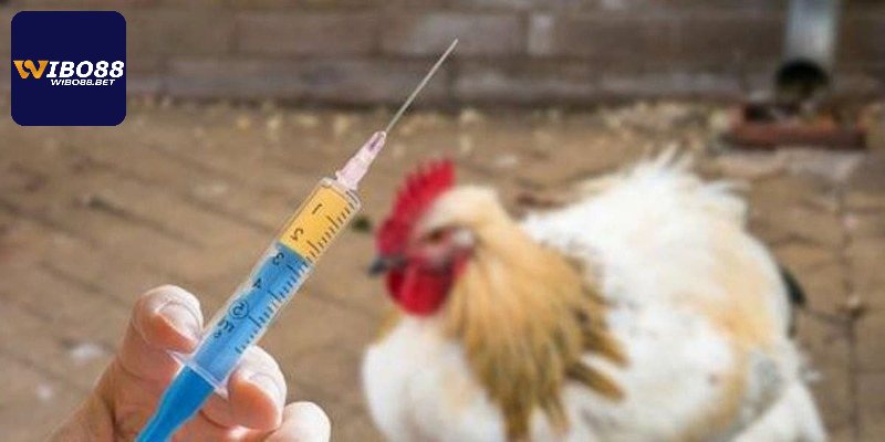 Ưu nhược điểm khi sử dụng